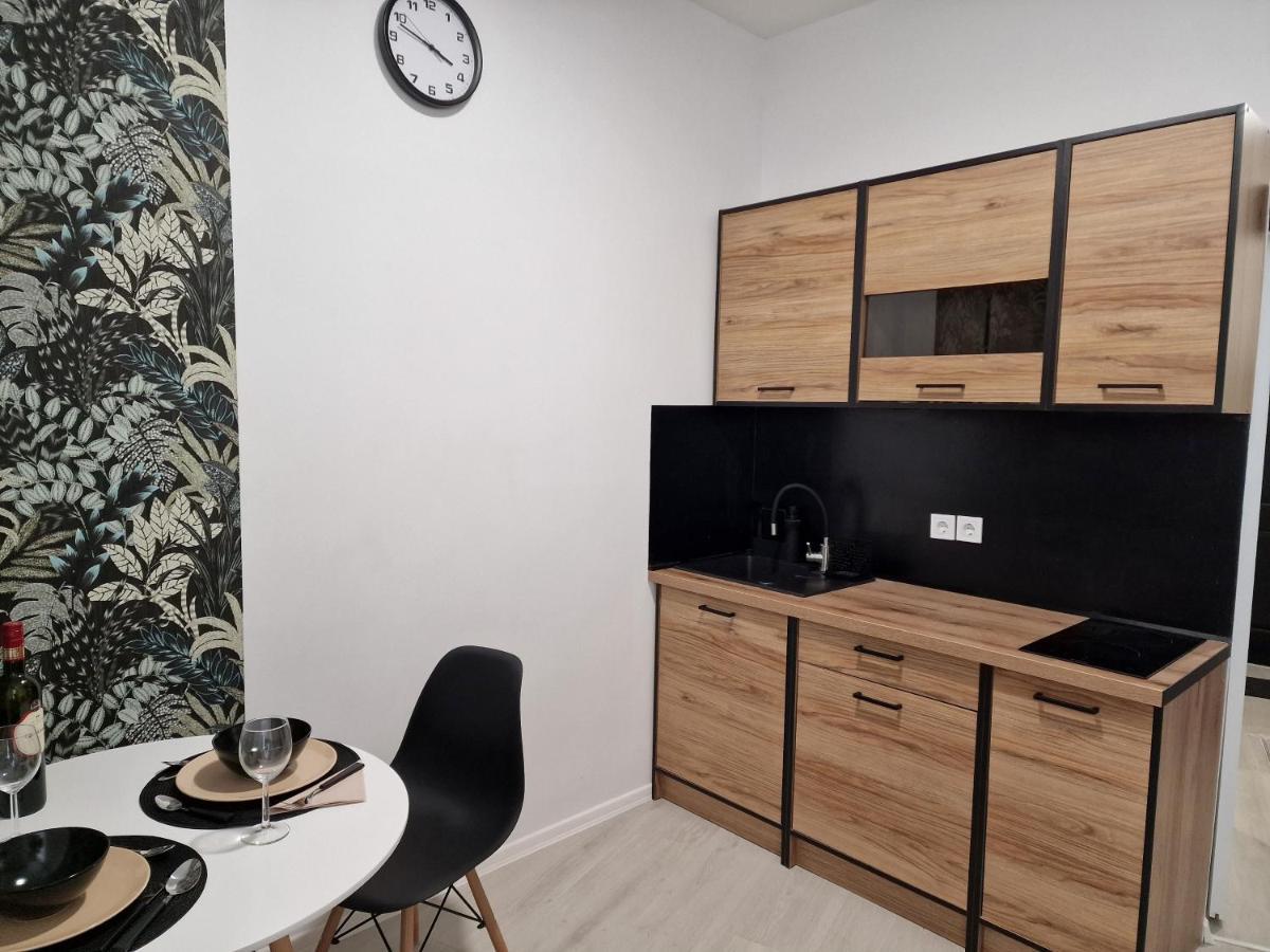 Schmidt Apartman Miskolc Belvarosaban エクステリア 写真